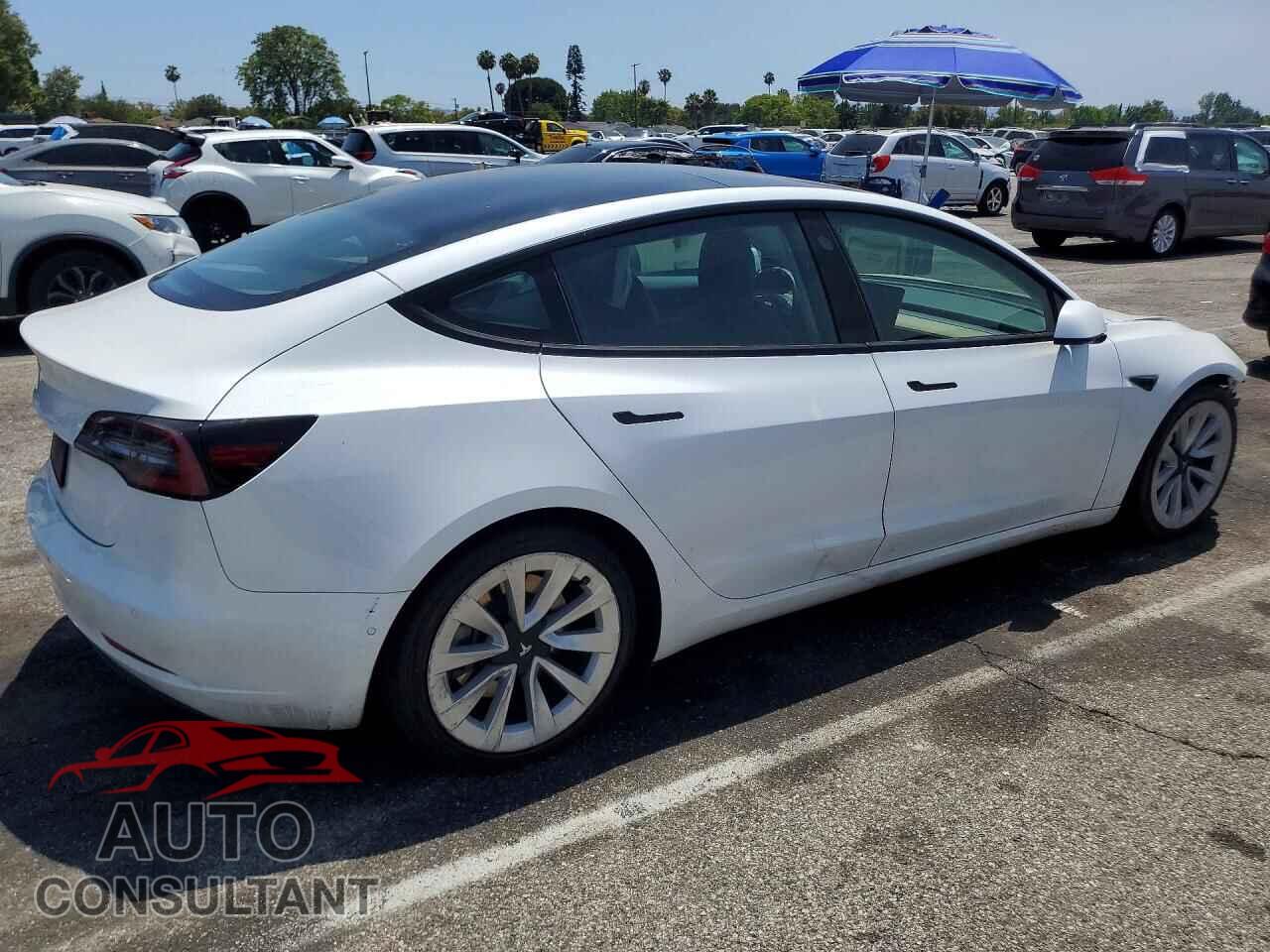 TESLA MODEL 3 2021 - 5YJ3E1EA2MF068975