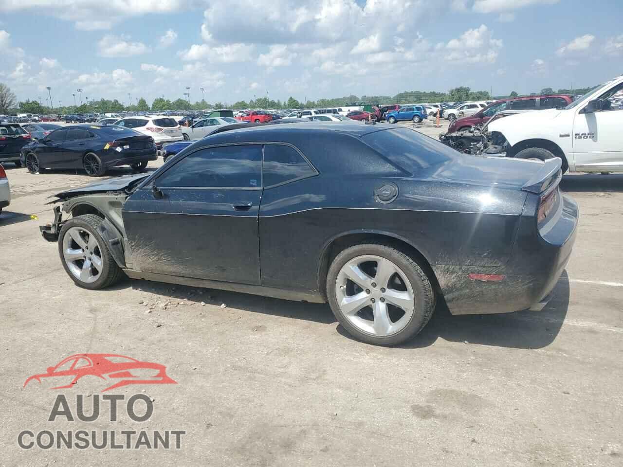 DODGE CHALLENGER 2013 - 2C3CDYBTXDH601235