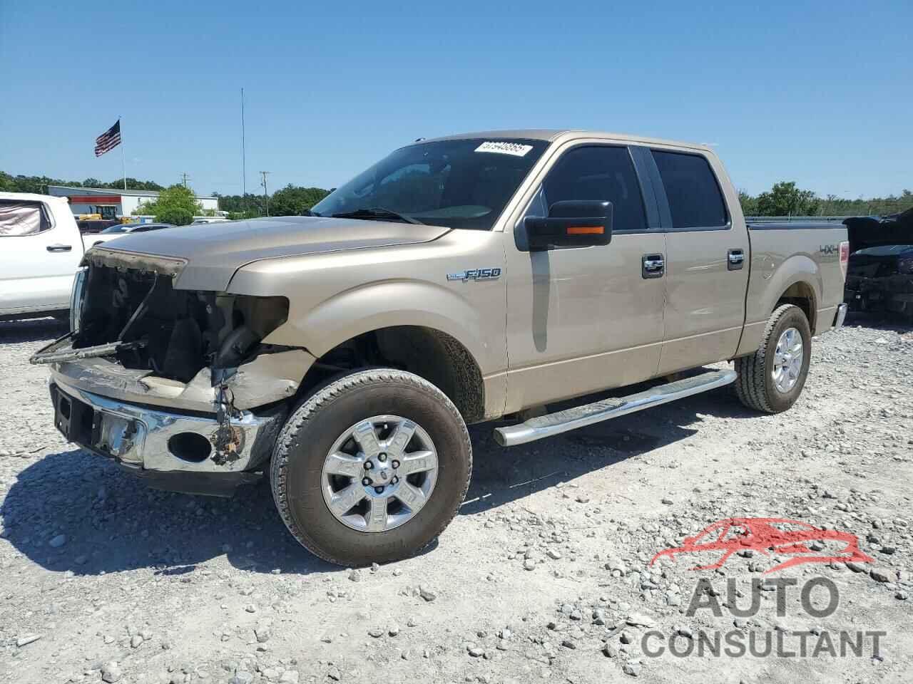 FORD F-150 2013 - 1FTFW1EF6DFB95424