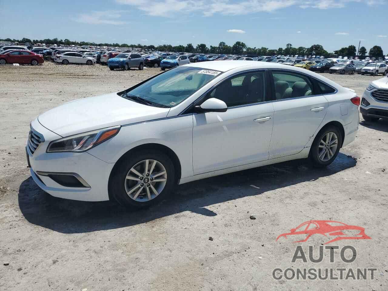 HYUNDAI SONATA 2016 - 5NPE24AF8GH384214