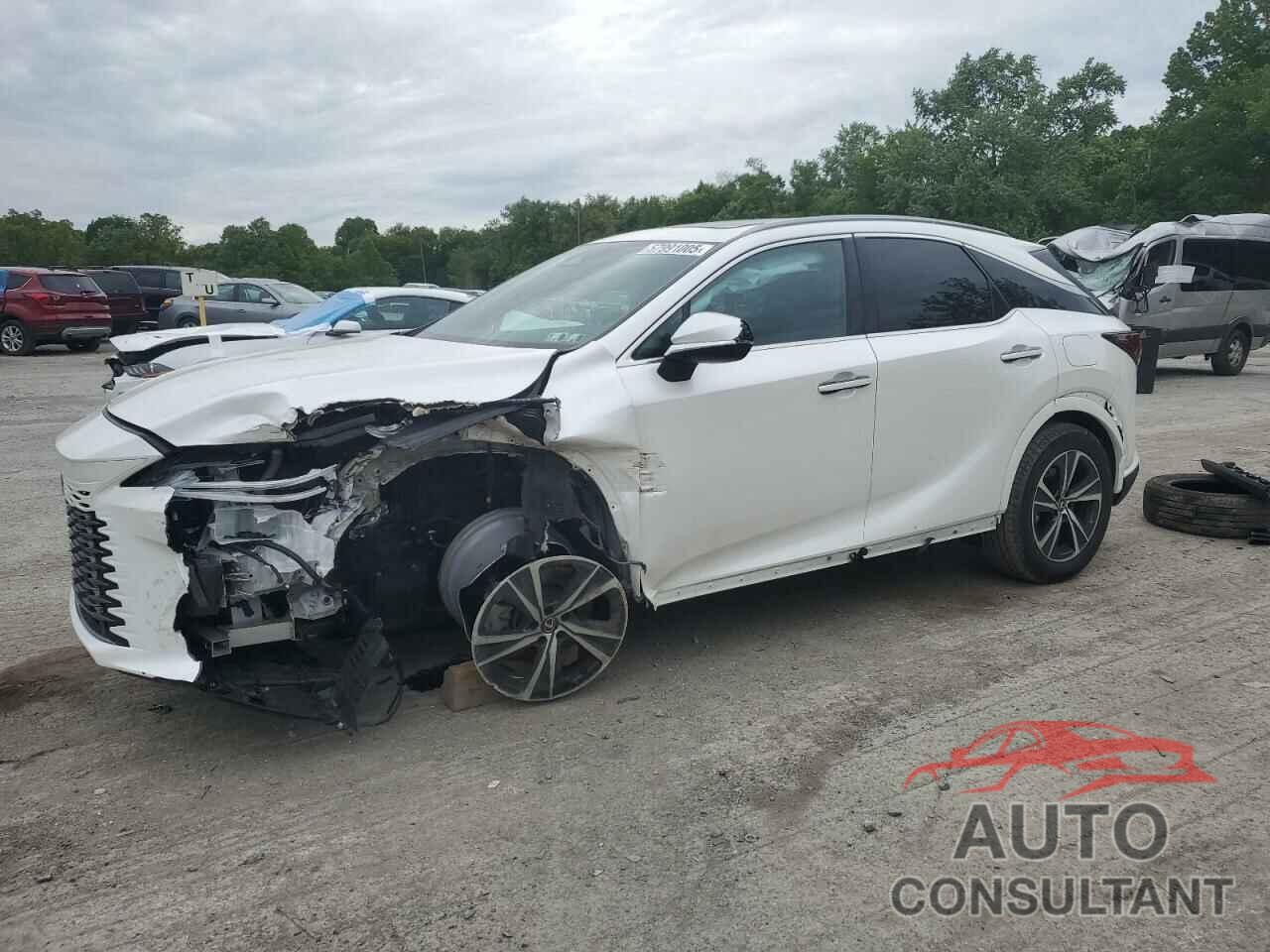 LEXUS RX350 2024 - 2T2BAMCA7RC087234