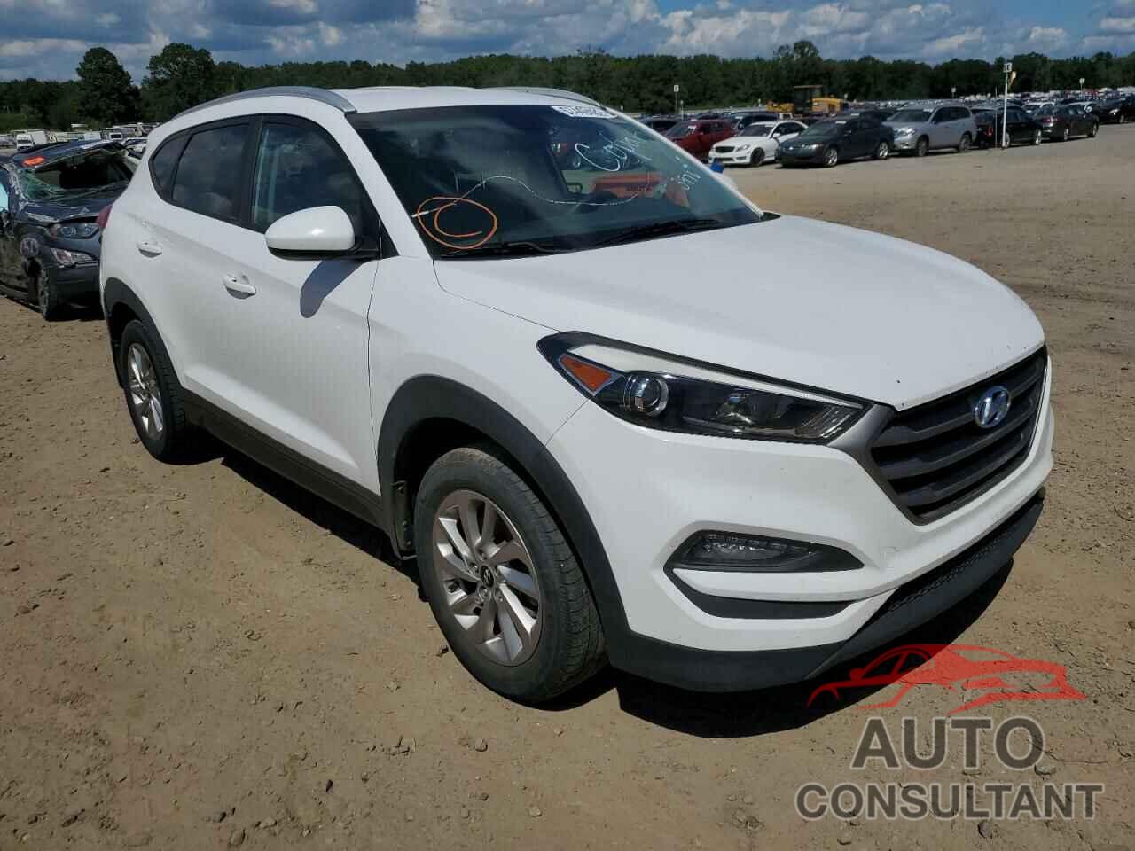 HYUNDAI TUCSON 2016 - KM8J33A48GU093976