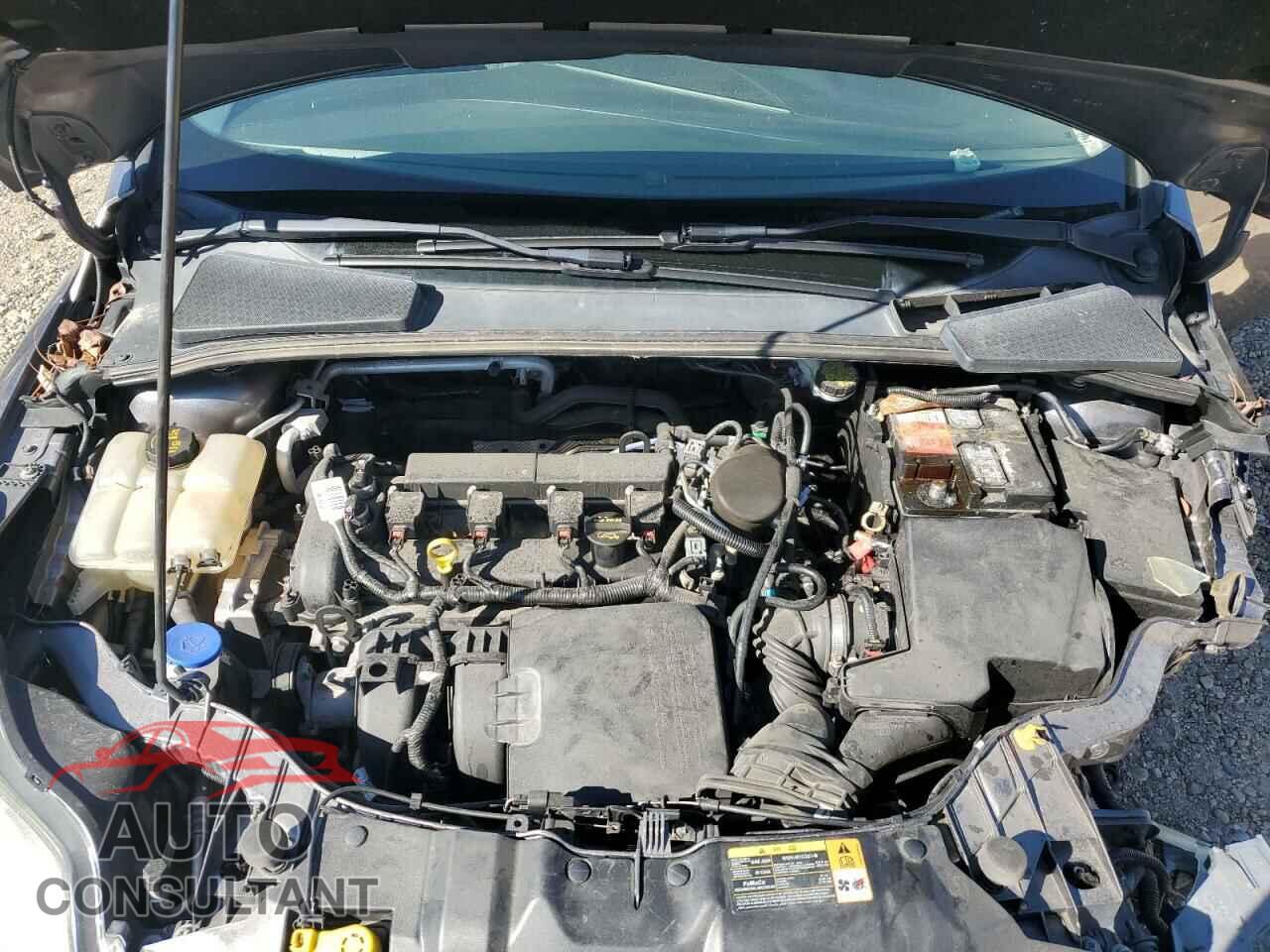FORD FOCUS 2014 - 1FADP3N20EL264209