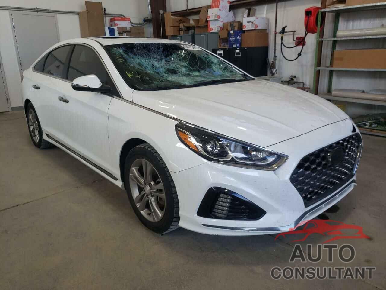 HYUNDAI SONATA 2019 - 5NPE34AF8KH737623