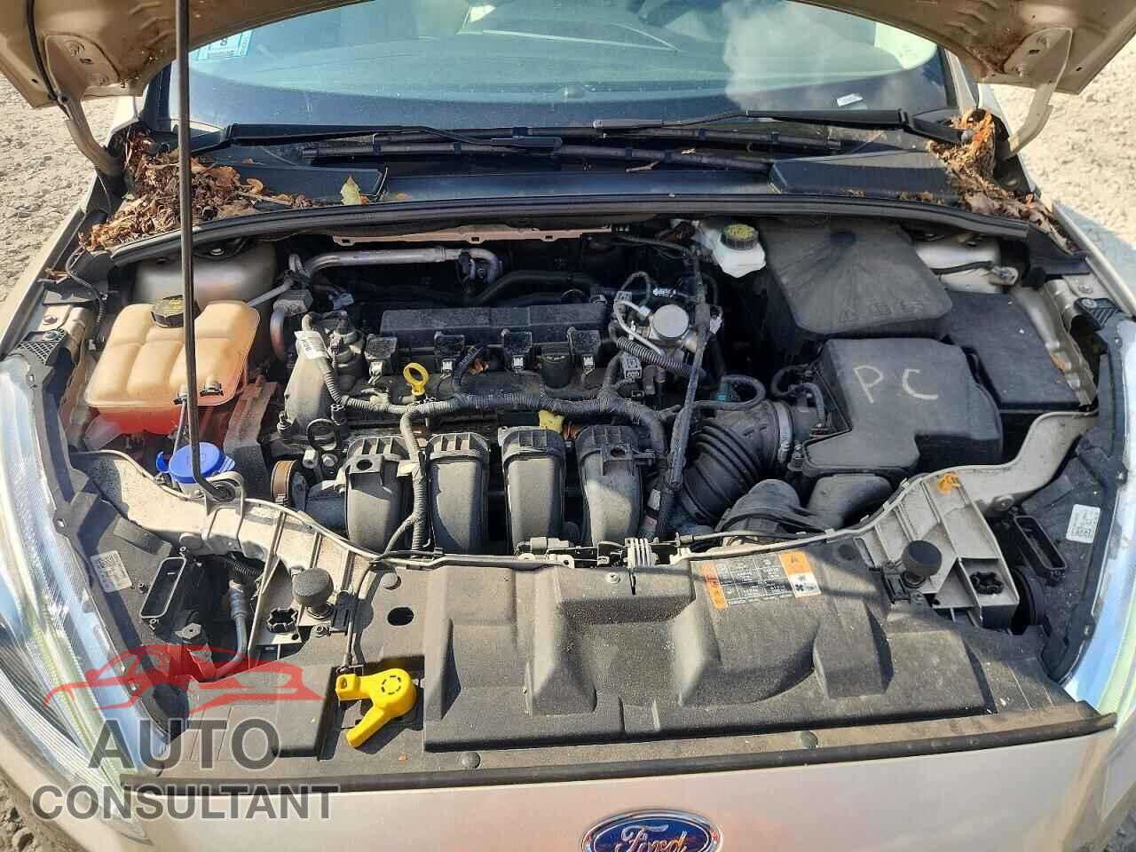 FORD FOCUS 2017 - 1FADP3J21HL321902