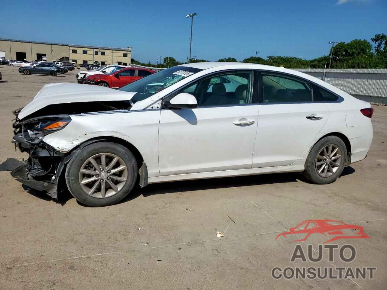 HYUNDAI SONATA 2019 - 5NPE24AF2KH774718