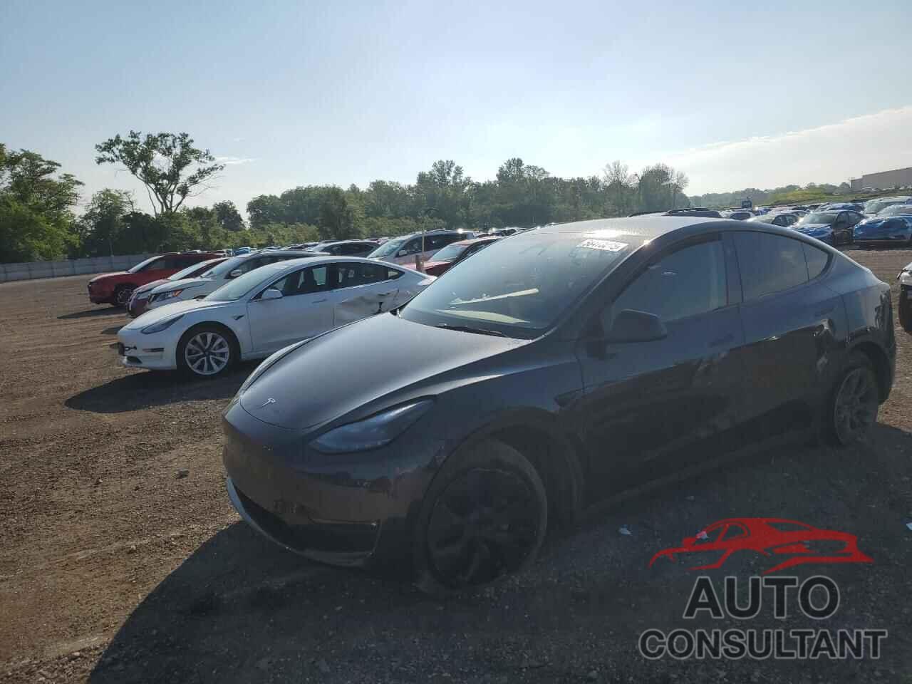 TESLA MODEL Y 2024 - 7SAYGDEEXRF199201