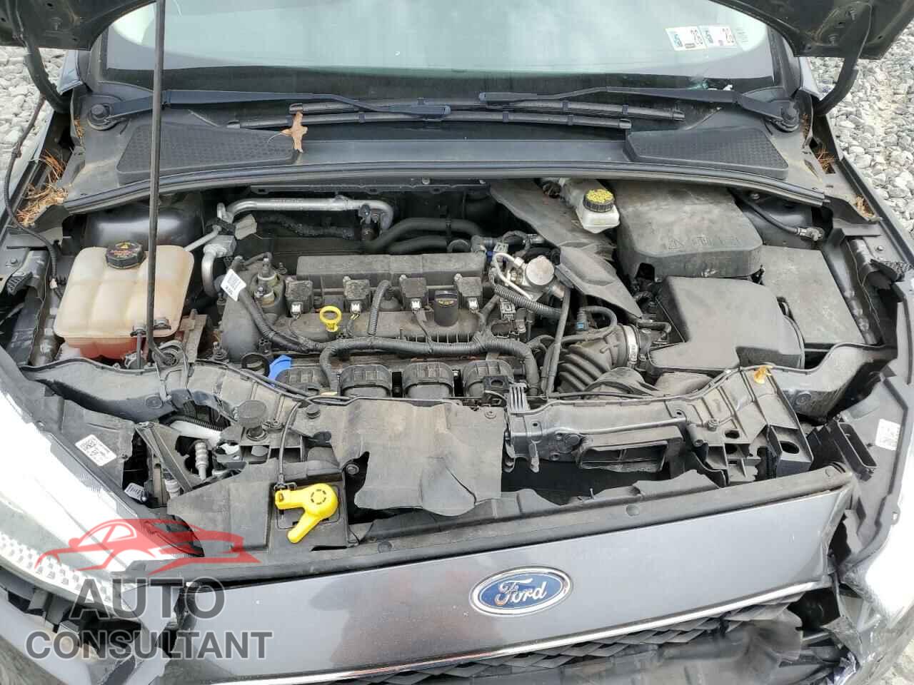 FORD FOCUS 2017 - 1FADP3F20HL275486