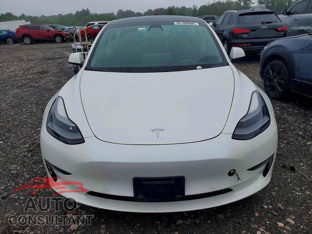 TESLA MODEL 3 2021 - 5YJ3E1EA0MF059076