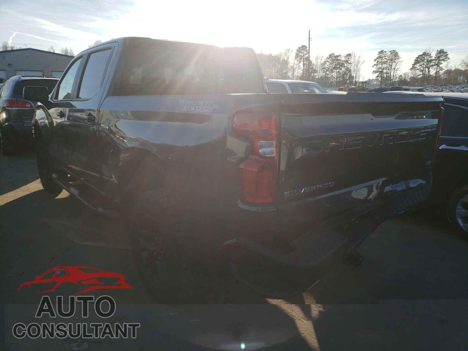 CHEVROLET SILVERADO 2020 - 1GCPYFED0LZ312311