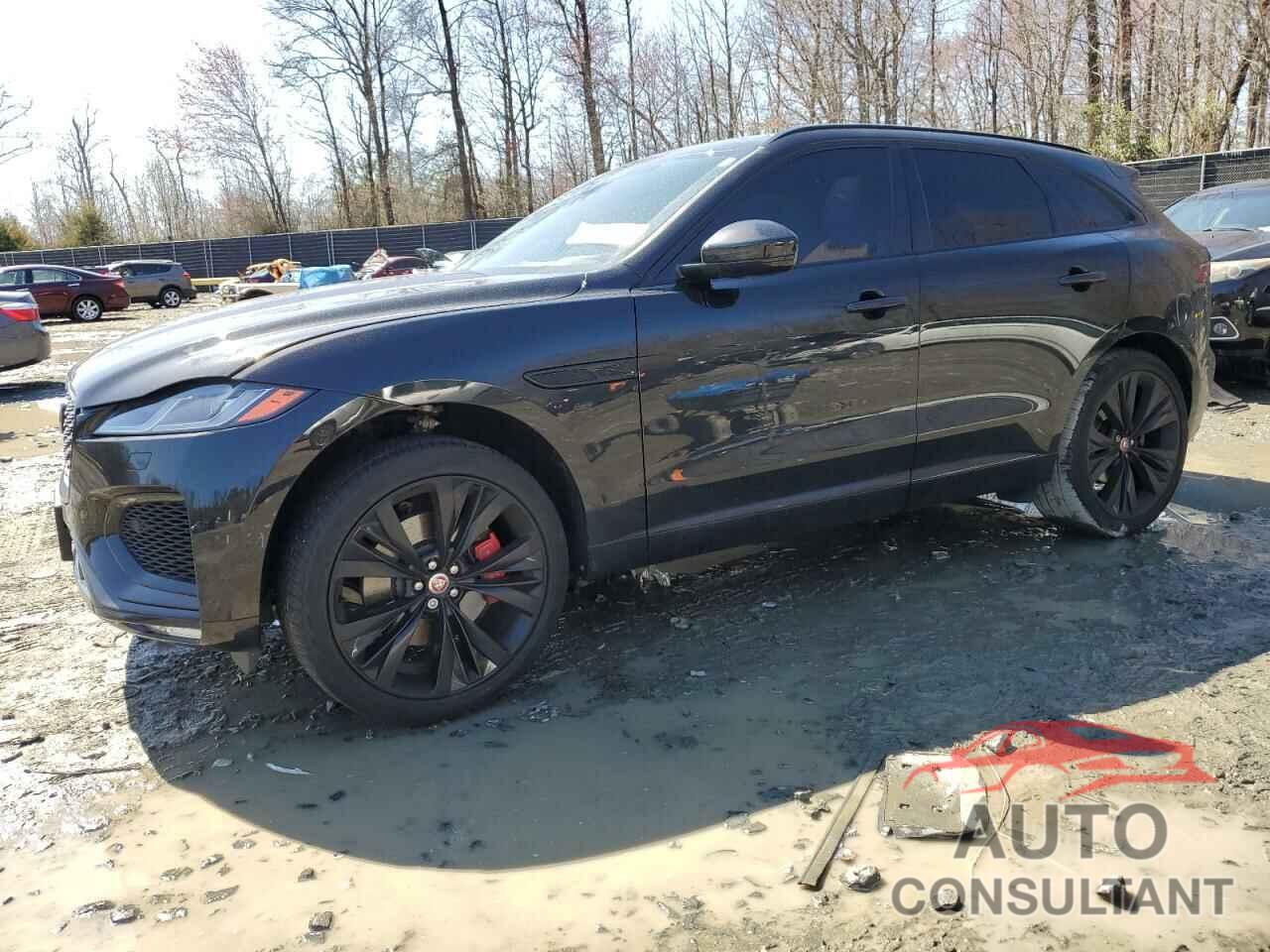 JAGUAR F-PACE 2023 - SADCT2FU0PA711975
