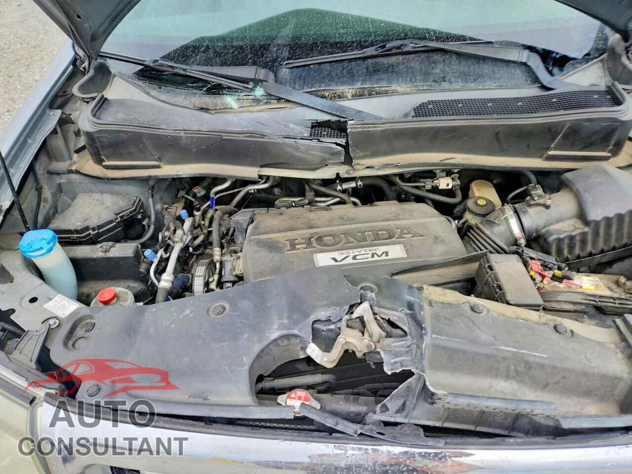 HONDA PILOT 2009 - 5FNYF48409B056101