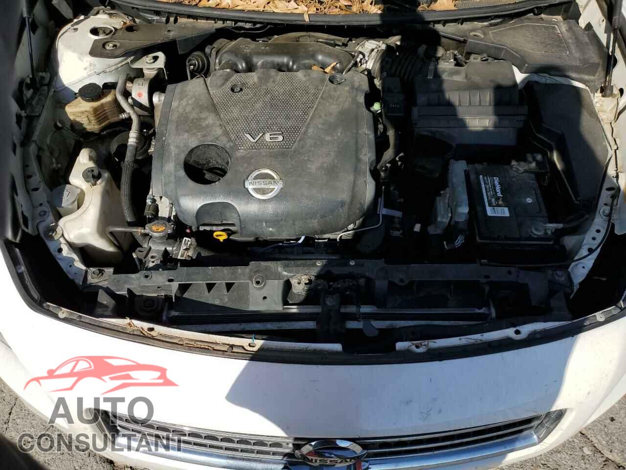 NISSAN MAXIMA 2011 - 1N4AA5APXBC803464