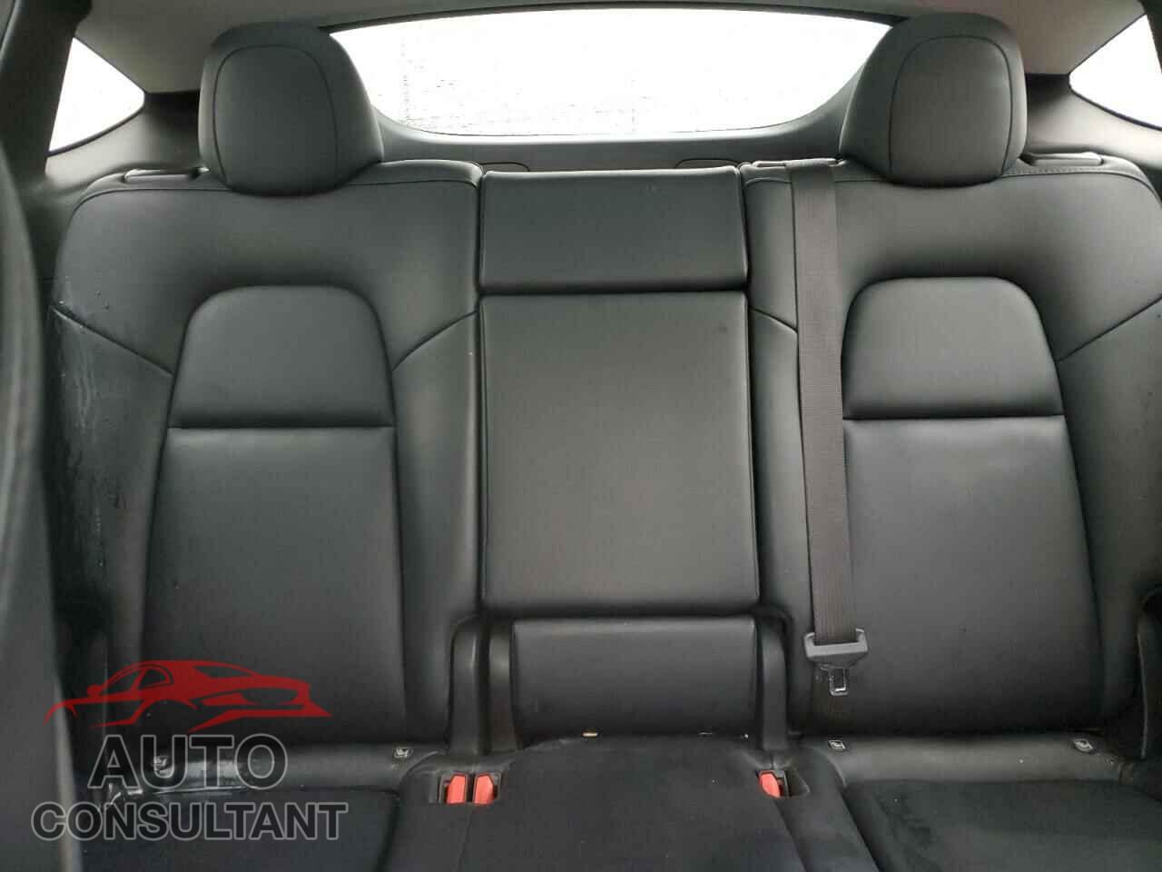 TESLA MODEL Y 2022 - 7SAYGDEF2NF488043