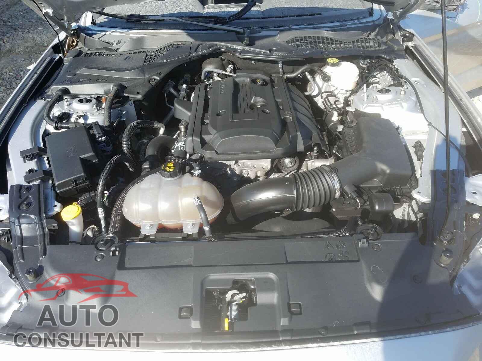FORD MUSTANG 2019 - 1FA6P8TH7K5172527