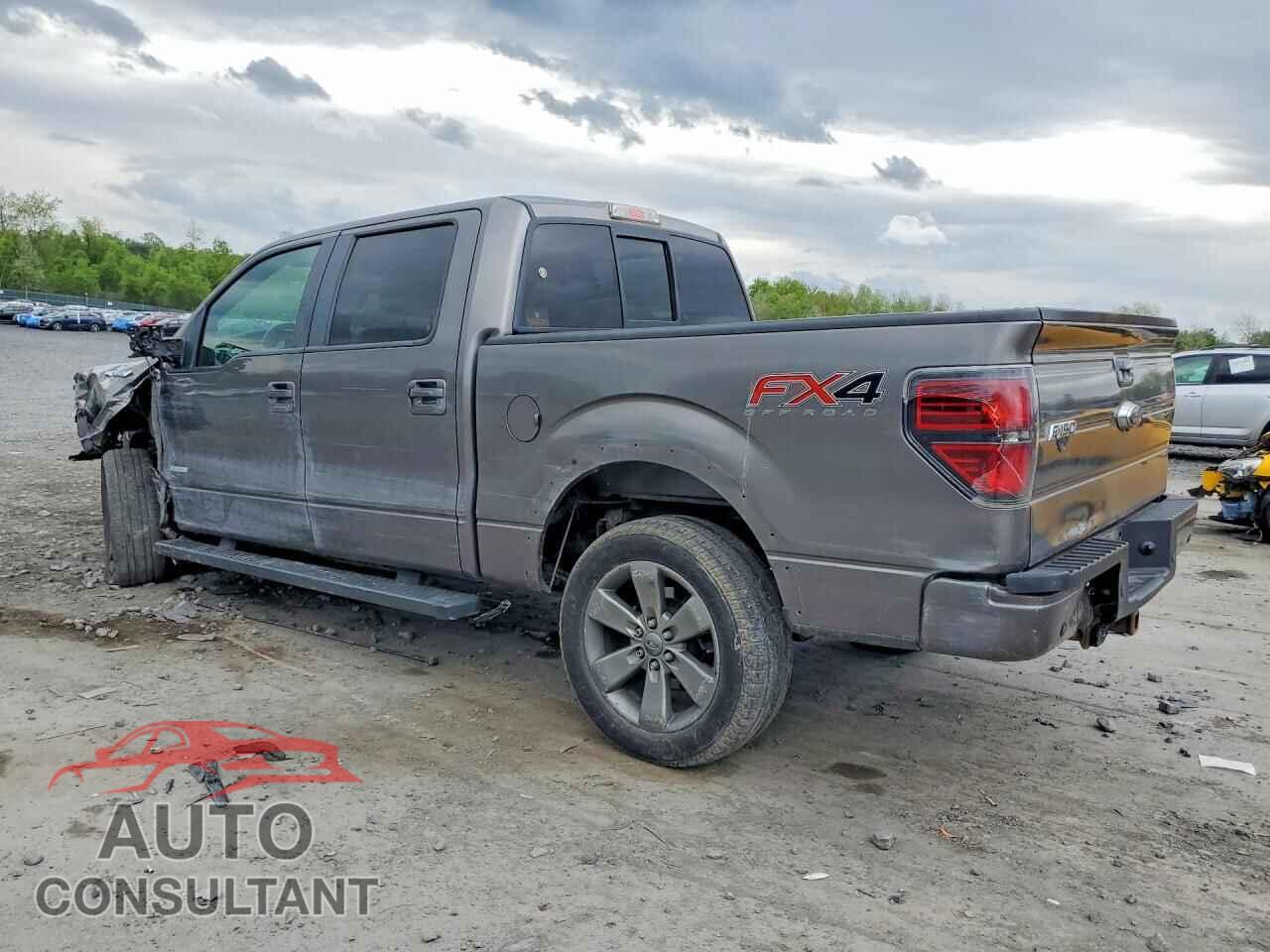 FORD F150 2013 - 1FTFW1ET6DFD93894