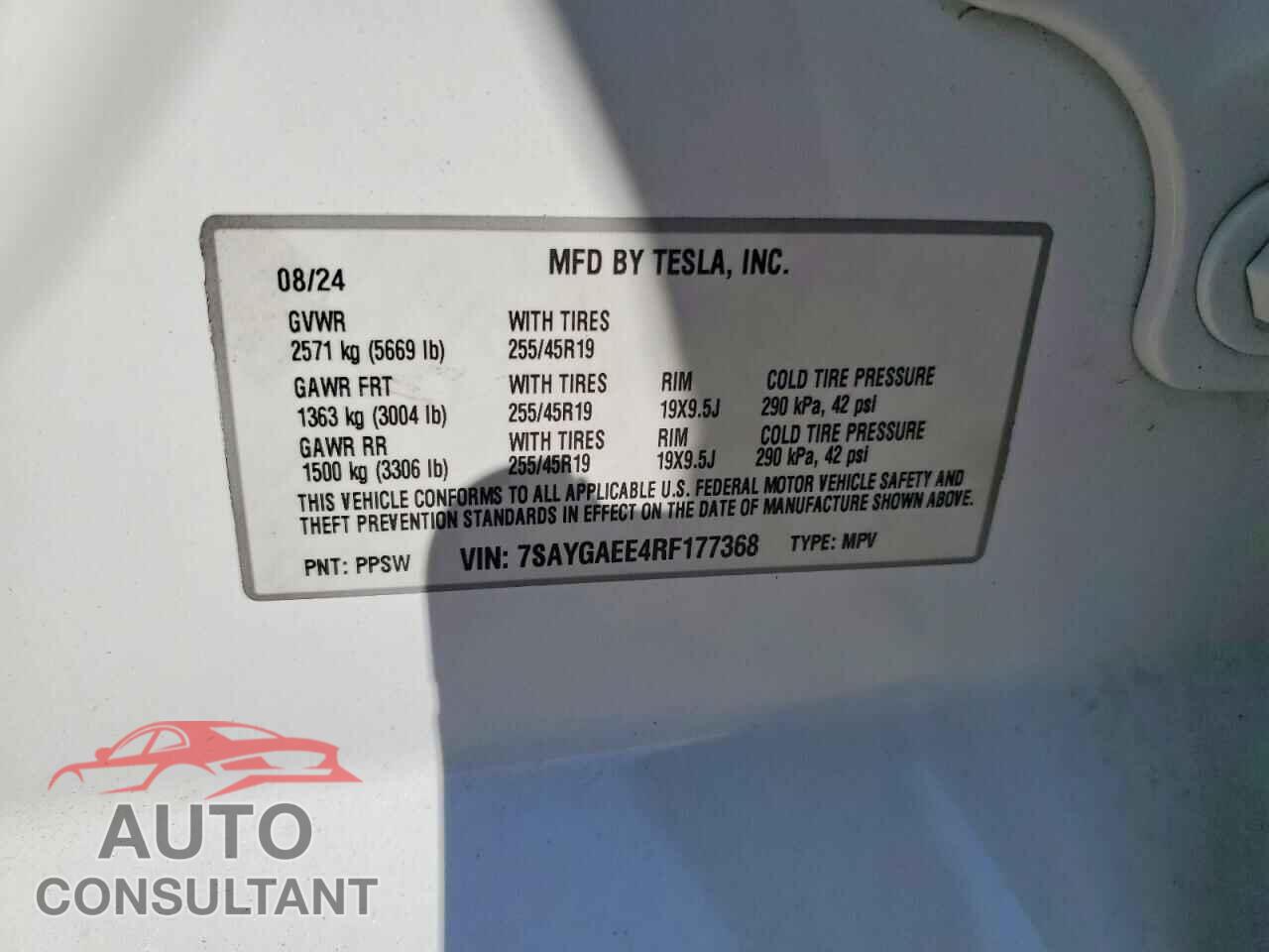 TESLA MODEL Y 2024 - 7SAYGAEE4RF177368