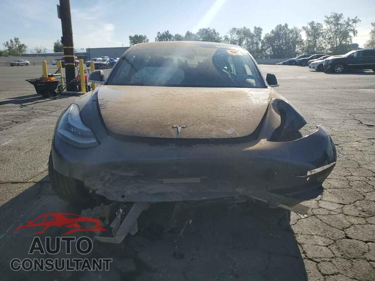 TESLA MODEL 3 2019 - 5YJ3E1EB7KF537046