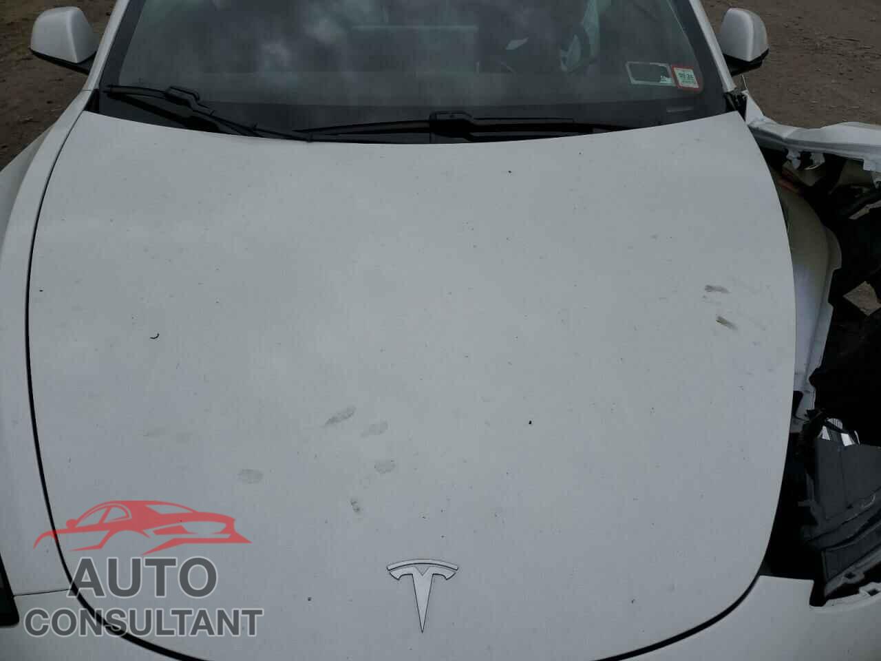 TESLA MODEL 3 2021 - 5YJ3E1EA0MF063676
