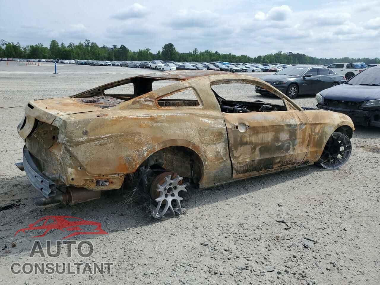 FORD MUSTANG 2011 - 1ZVBP8CF8B5124765