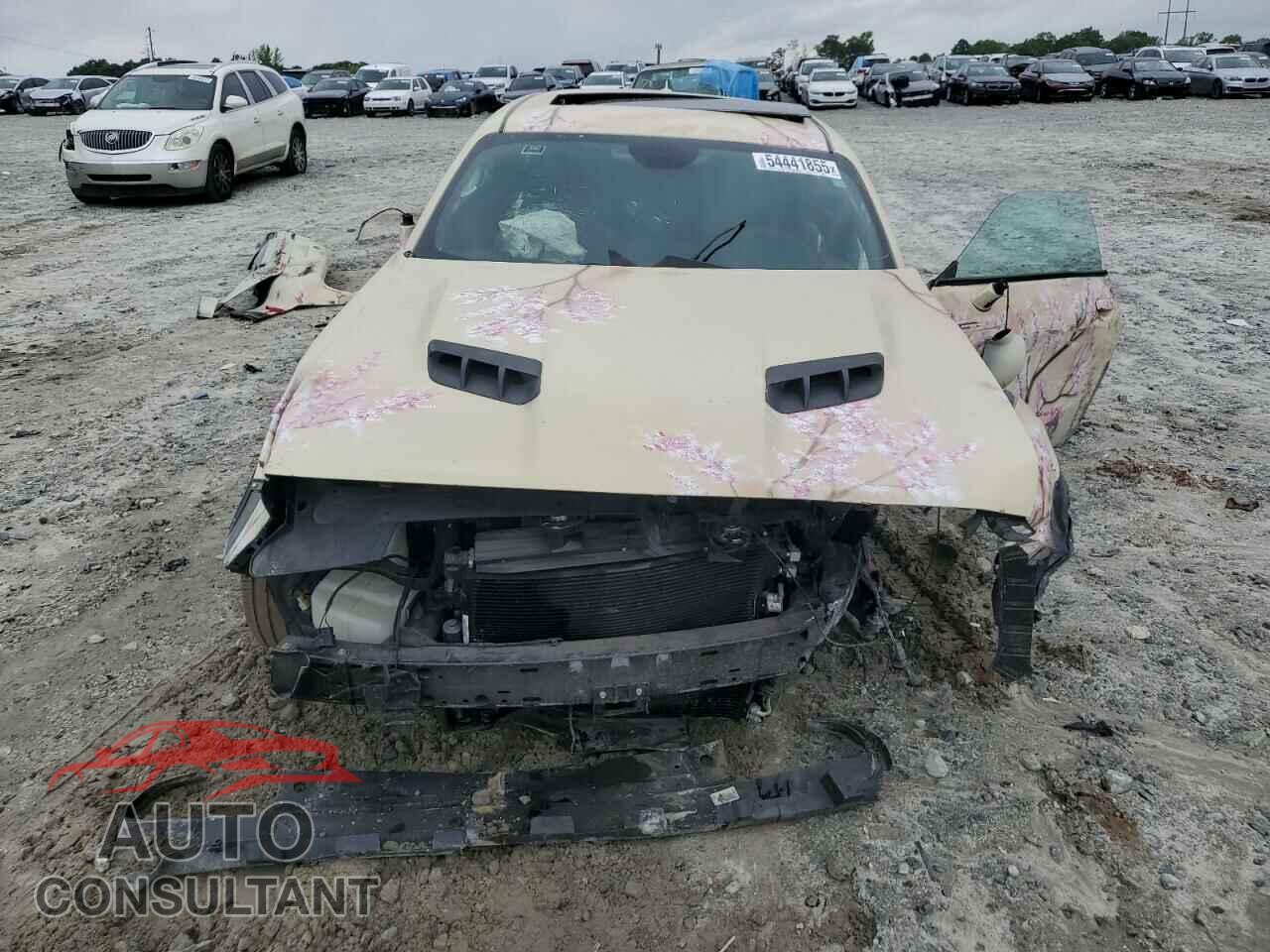 DODGE CHALLENGER 2018 - 2C3CDZAG0JH258618