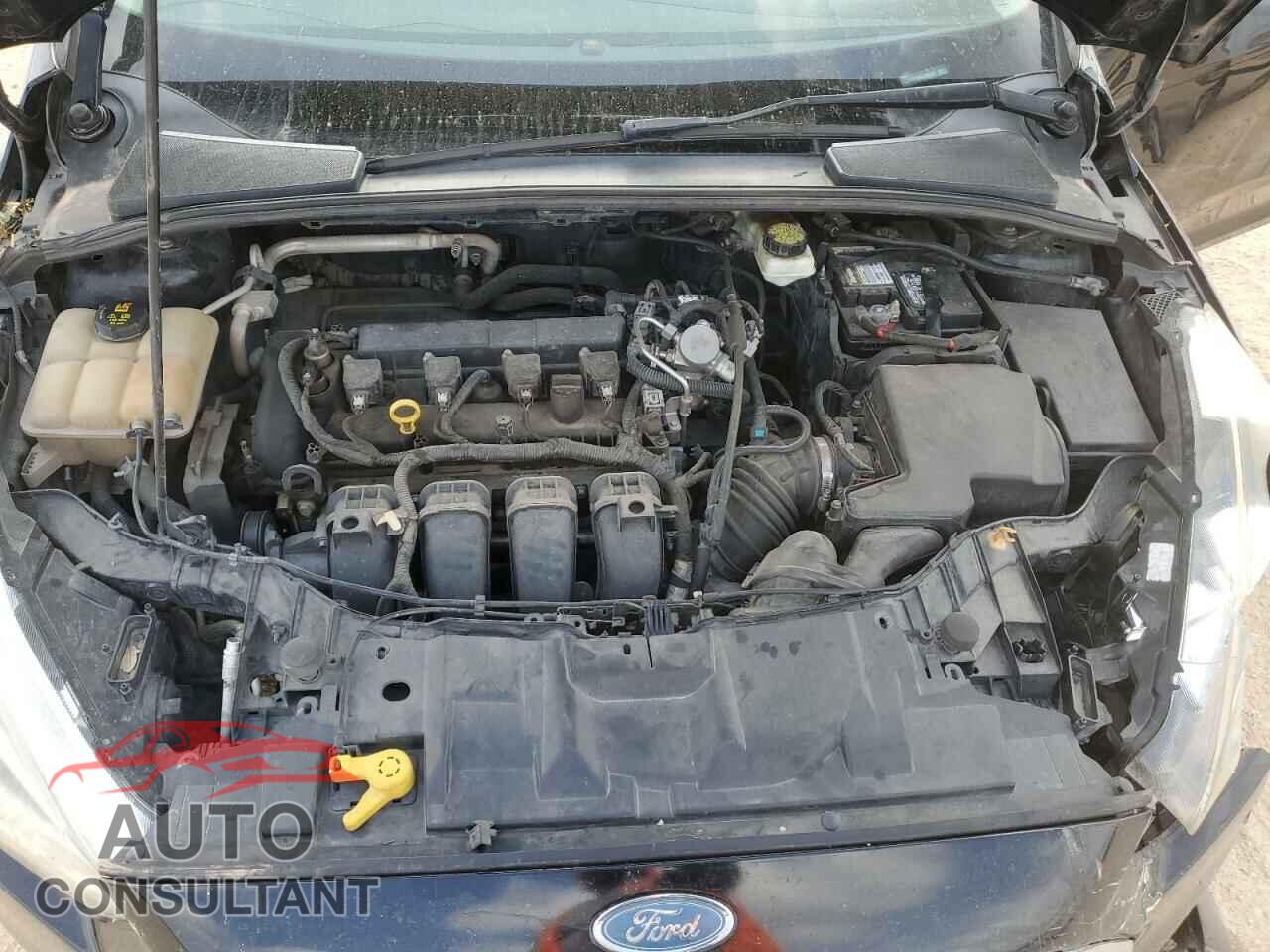 FORD FOCUS 2017 - 1FADP3F25HL210245