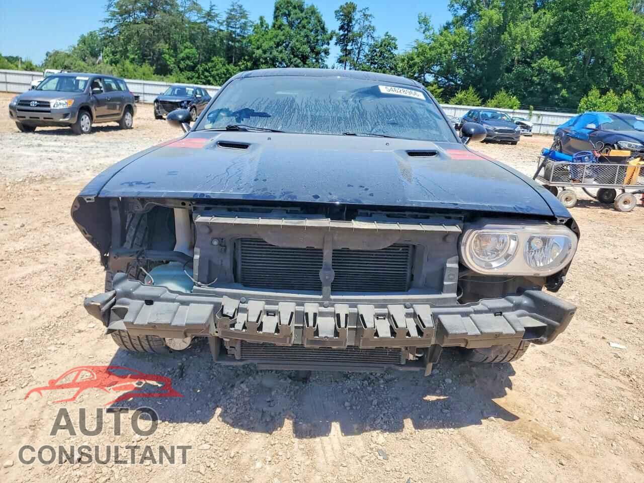 DODGE CHALLENGER 2012 - 2C3CDYBT9CH254219