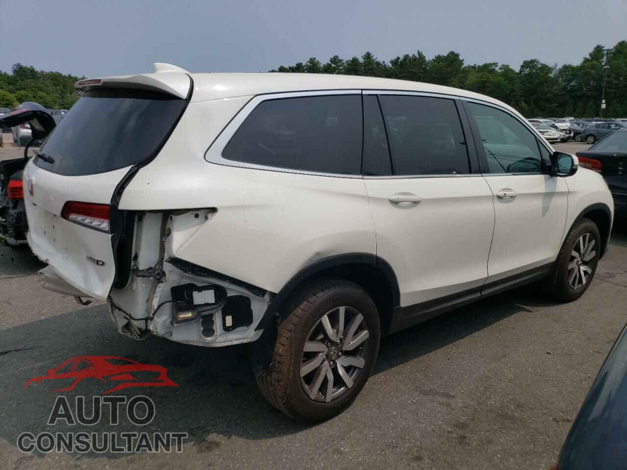 HONDA PILOT 2019 - 5FNYF6H46KB011956