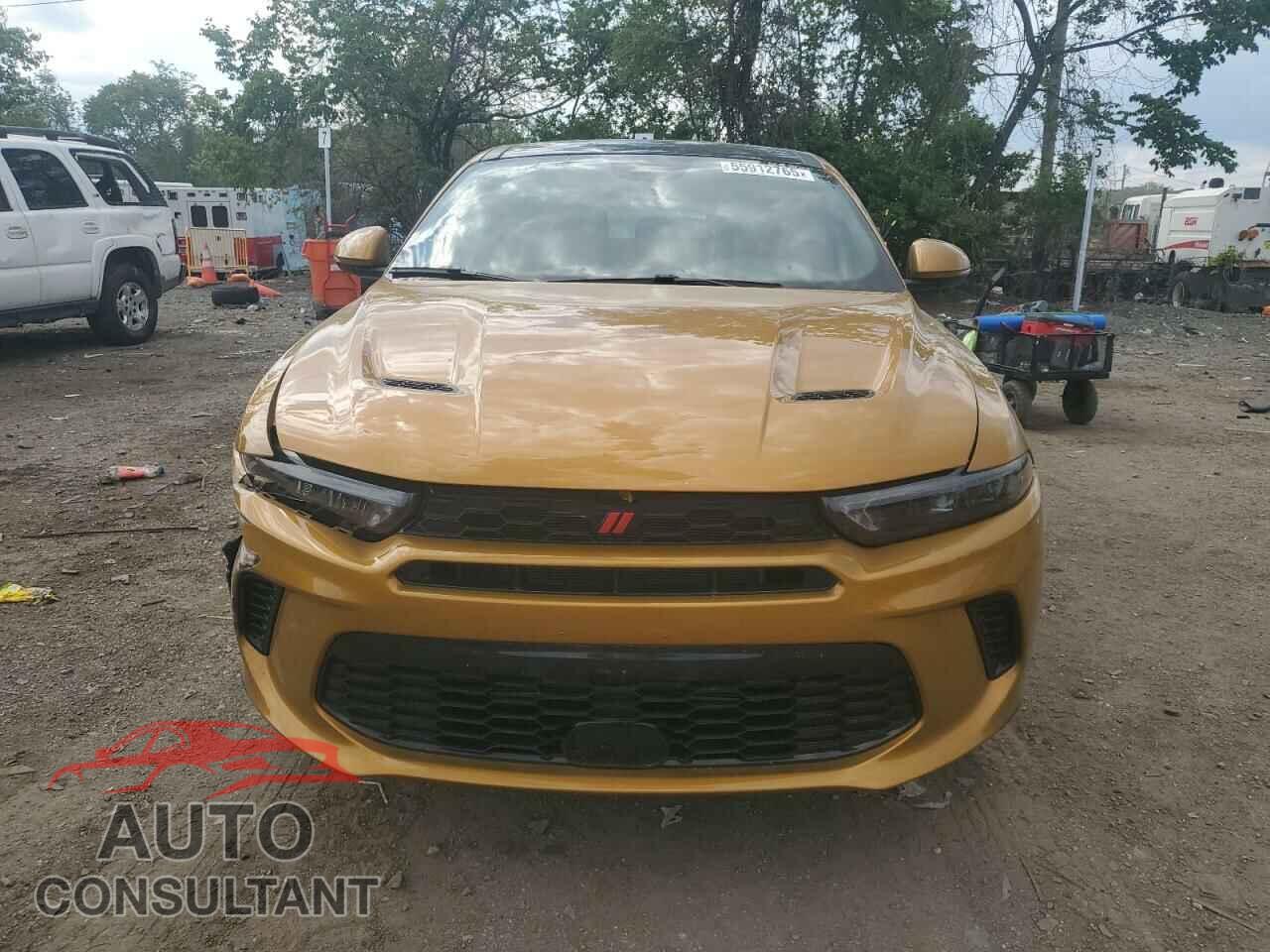 DODGE HORNET R/T 2024 - ZACPDFDW2R3A11293