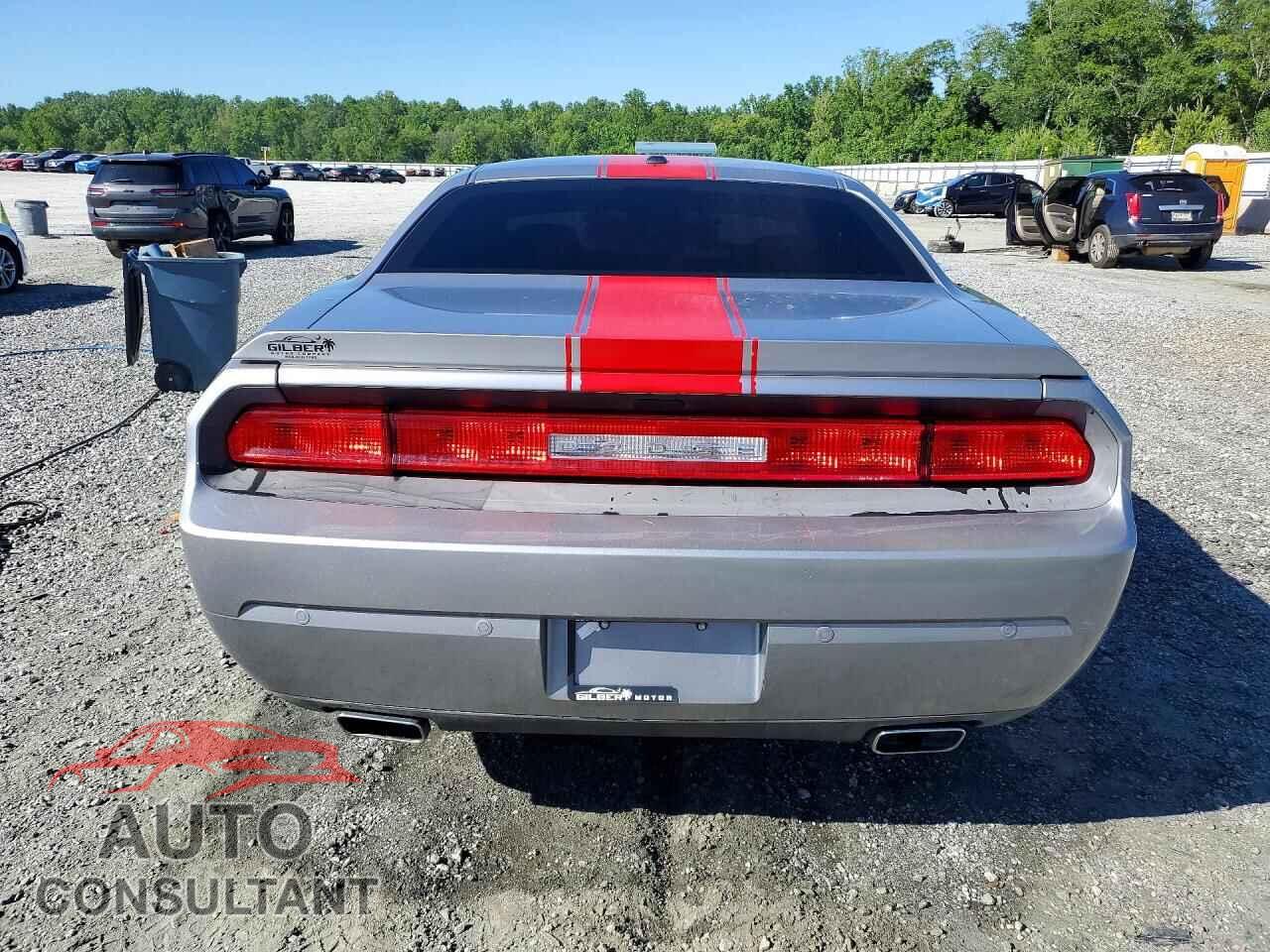 DODGE CHALLENGER 2013 - 2C3CDYAG6DH642000