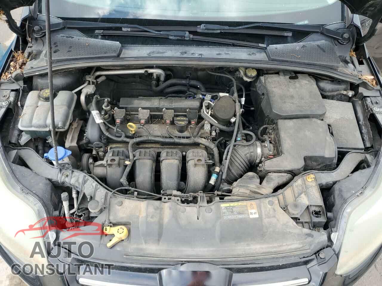 FORD FOCUS 2014 - 1FADP3J25EL230188