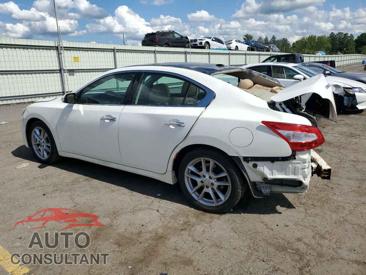 NISSAN MAXIMA 2011 - 1N4AA5AP1BC851676