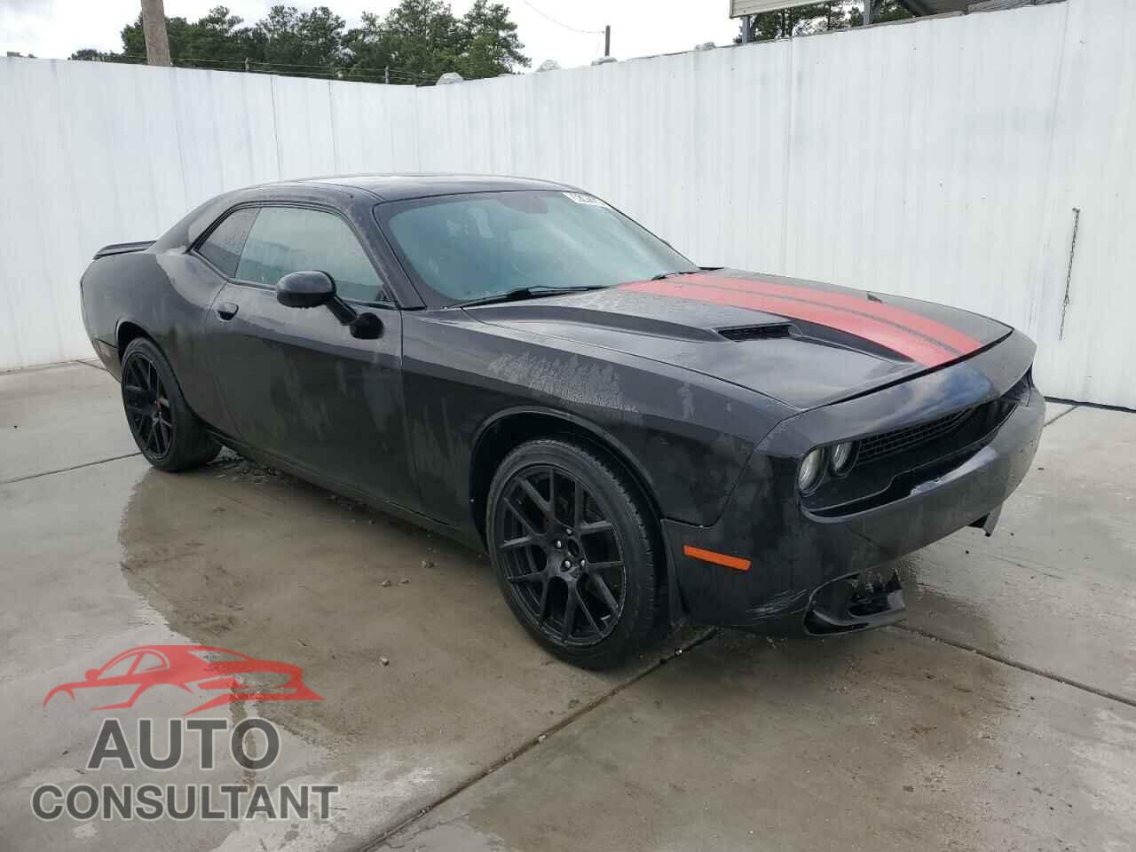 DODGE CHALLENGER 2019 - 2C3CDZAG2KH729427