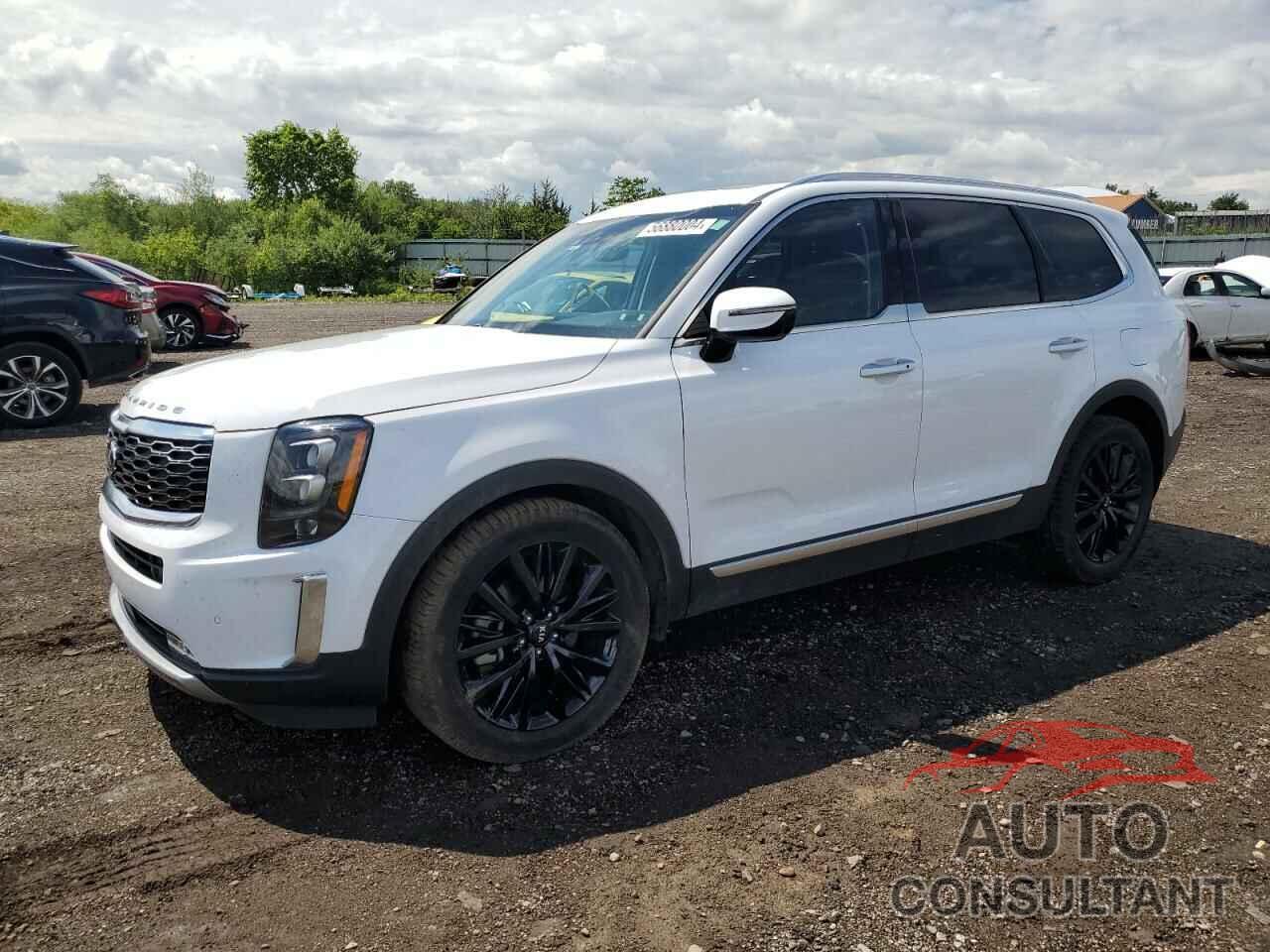 KIA TELLURIDE 2021 - 5XYP5DHC9MG193562