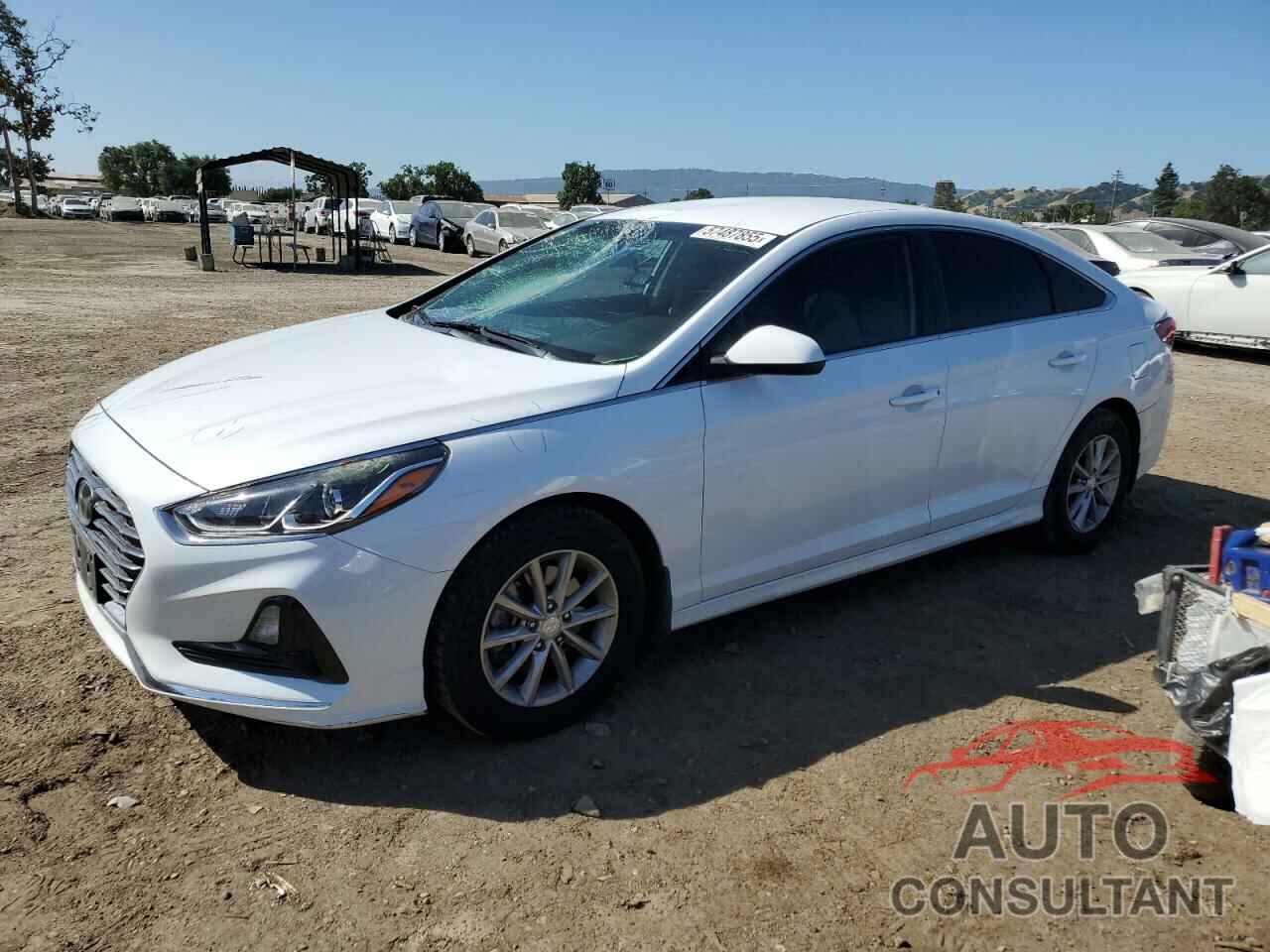 HYUNDAI SONATA 2018 - 5NPE24AF2JH719667