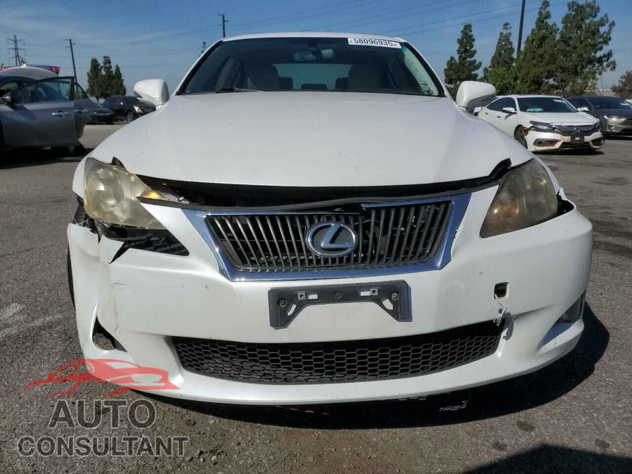 LEXUS IS 2009 - JTHBK262492091099