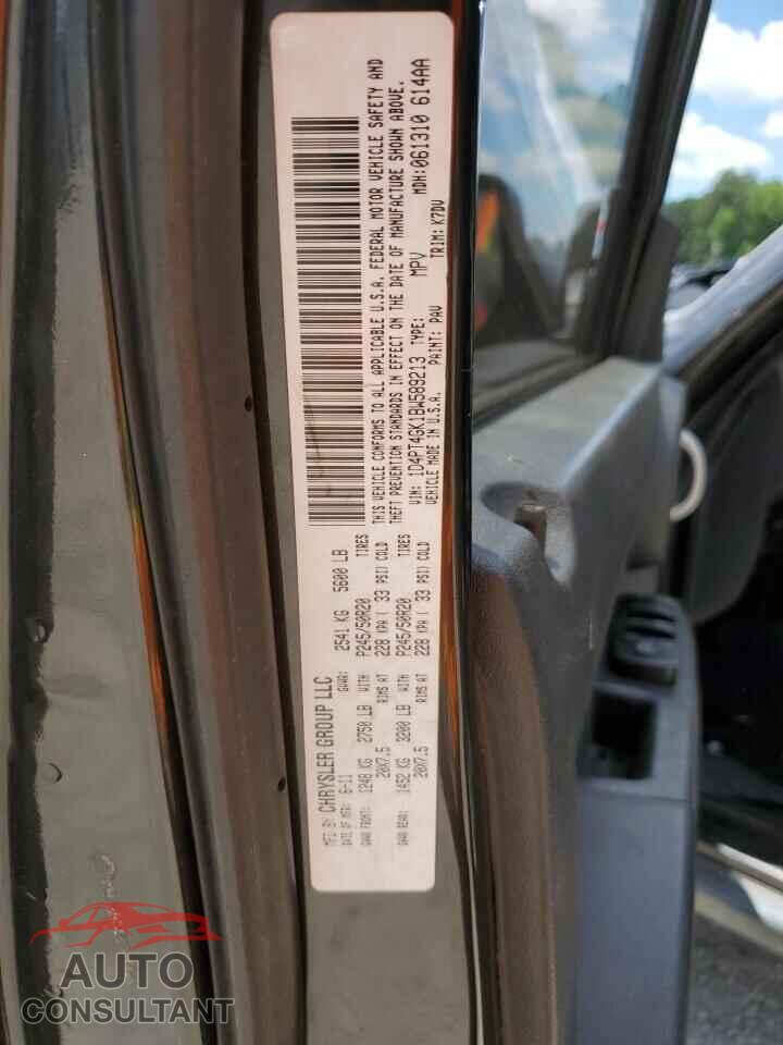 DODGE NITRO 2011 - 1D4PT4GK1BW589213