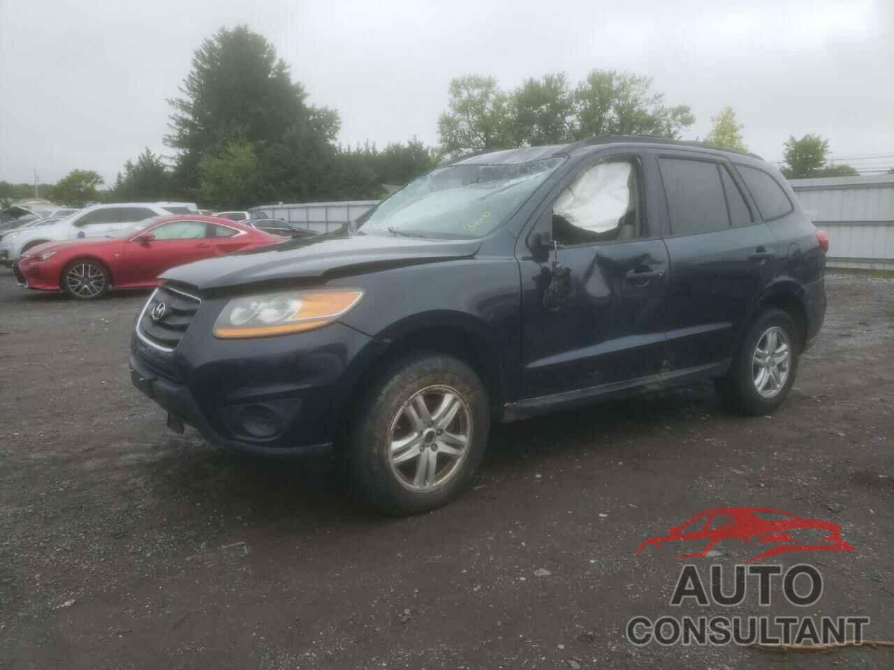 HYUNDAI SANTA FE 2010 - 5NMSGDAB0AH411332