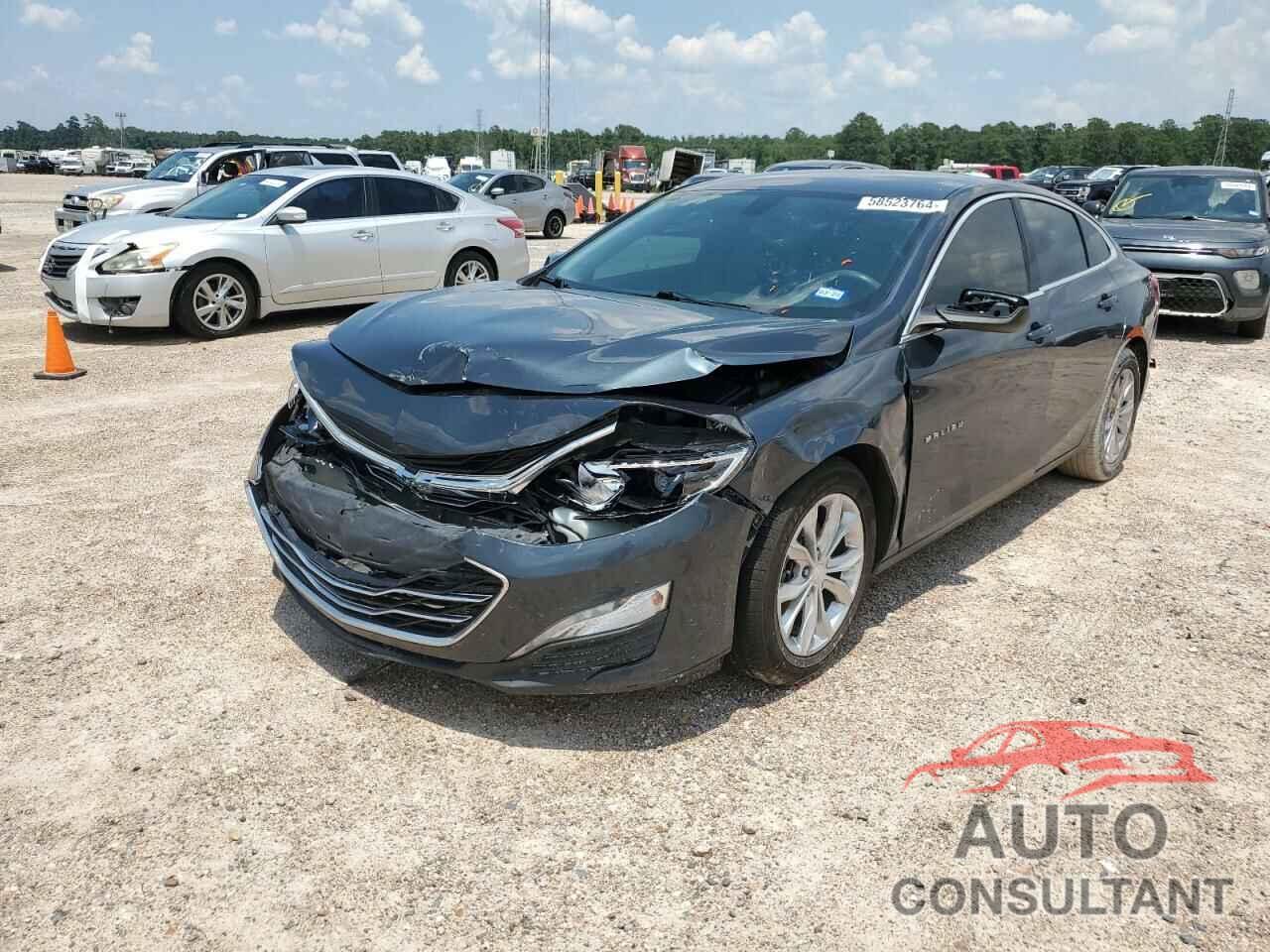 CHEVROLET MALIBU 2019 - 1G1ZD5STXKF199793