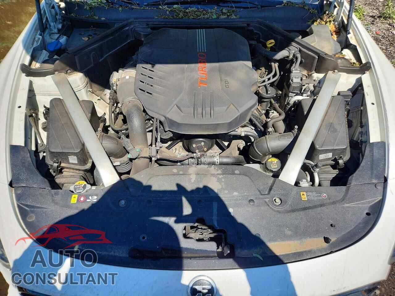 KIA STINGER 2019 - KNAE45LC1K6044437