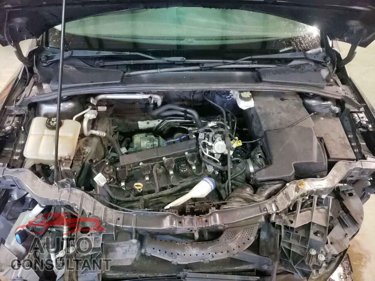 FORD FOCUS 2017 - 1FADP3K24HL336876