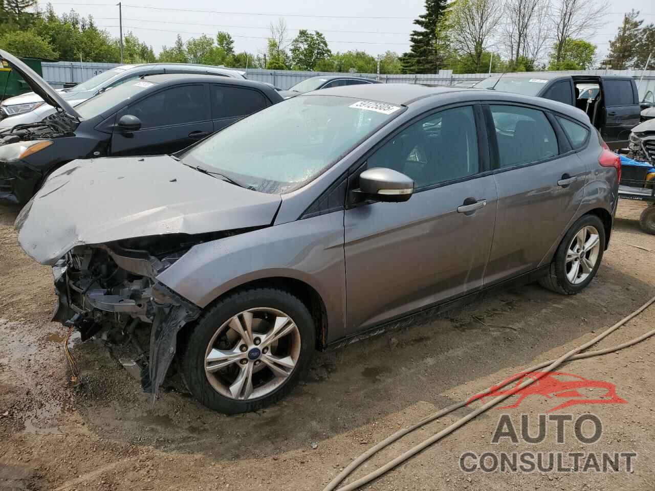 FORD FOCUS 2014 - 1FADP3K29EL187201