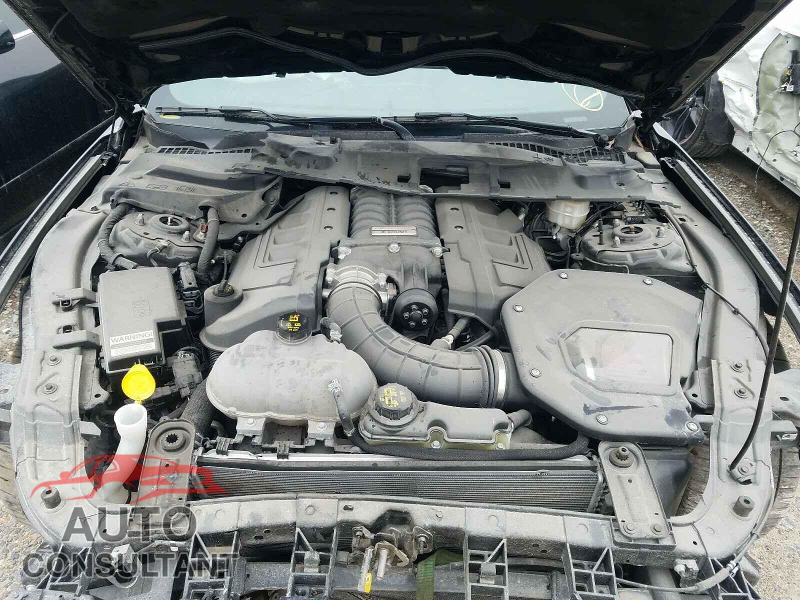 FORD MUSTANG 2019 - 1FA6P8CF4K5124918