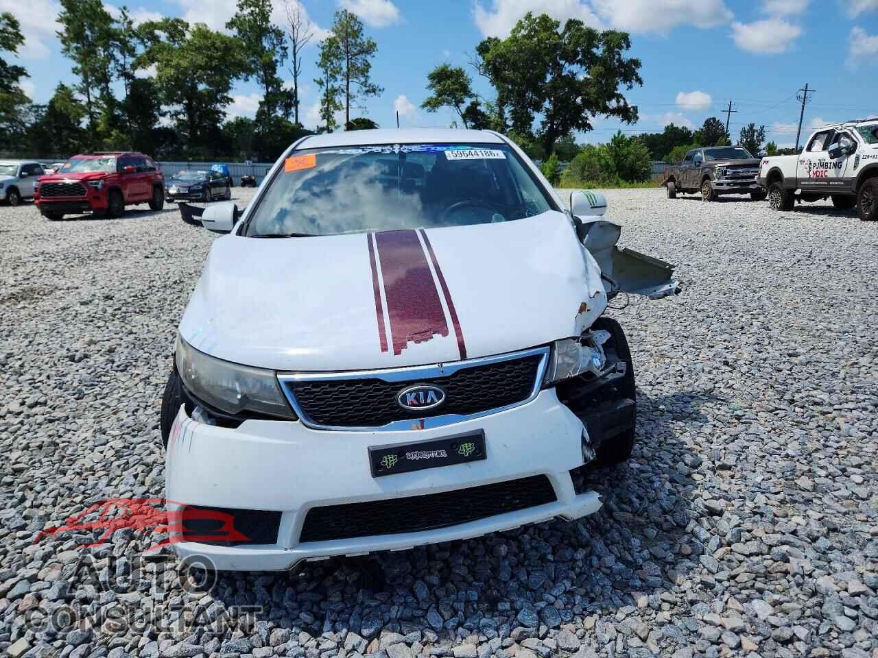 KIA FORTE 2013 - KNAFU5A2XD5654375