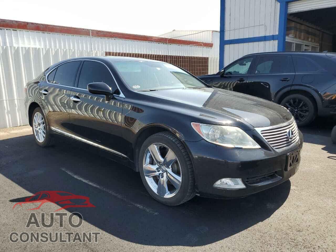 LEXUS LS460 2009 - JTHBL46F295089457