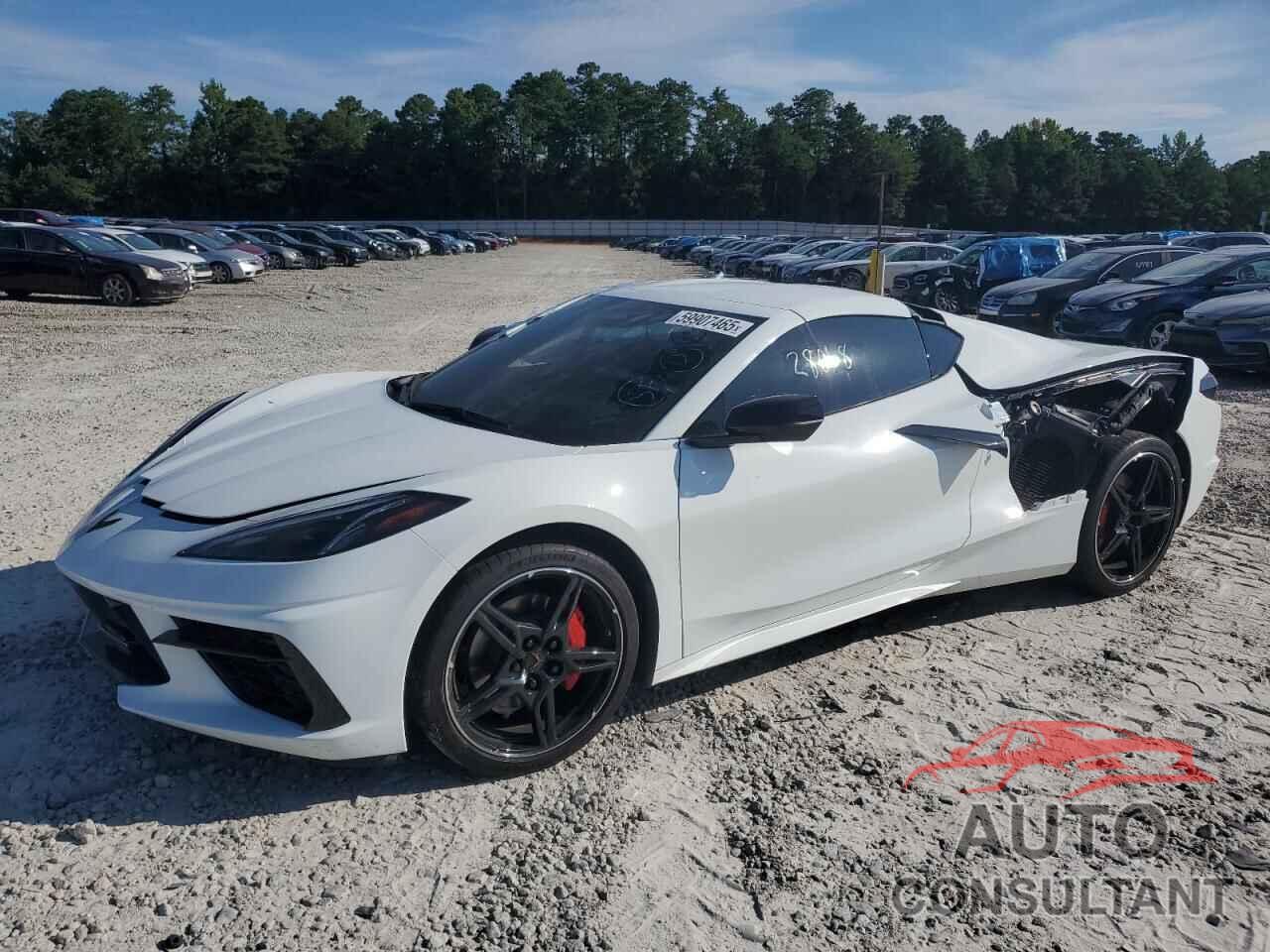 CHEVROLET CORVETTE 2024 - 1G1YC2D49R5104417