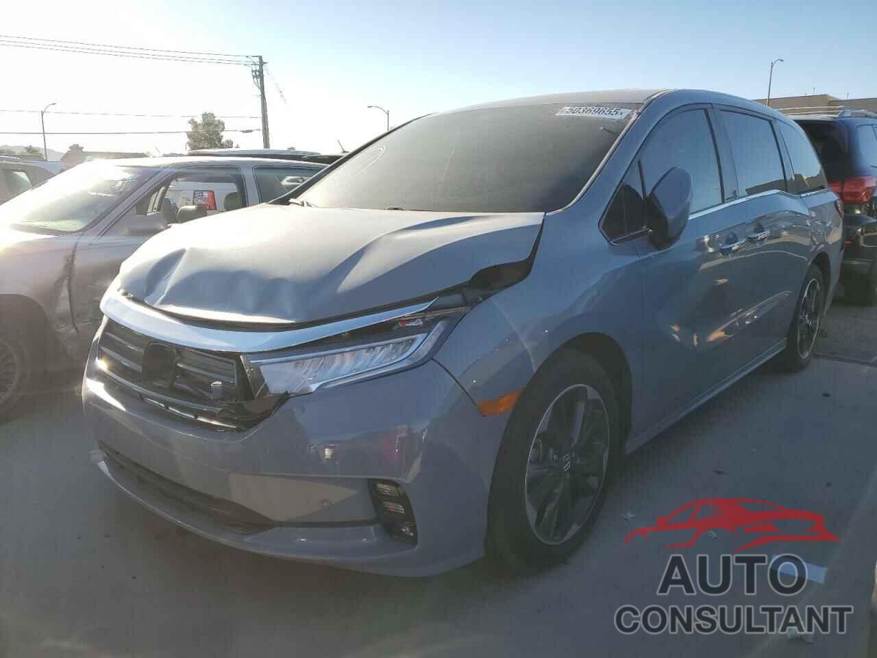 HONDA ODYSSEY 2024 - 5FNRL6H91RB009602