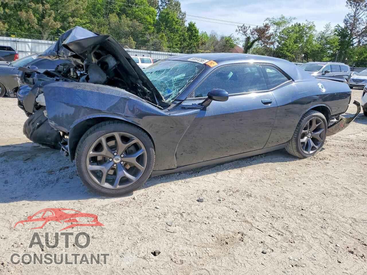 DODGE CHALLENGER 2019 - 2C3CDZAG7KH602835