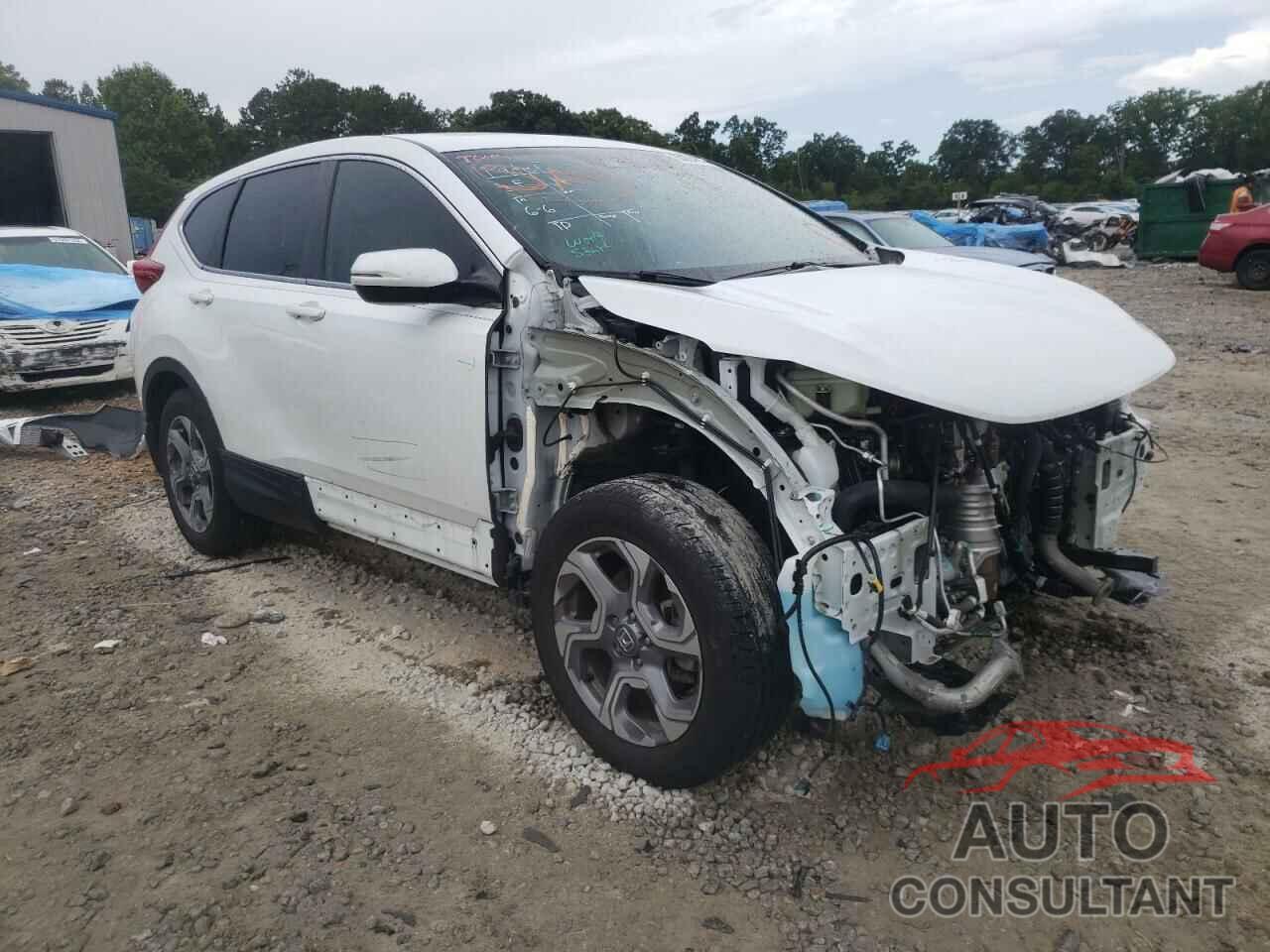 HONDA CRV 2019 - 7FARW2H85KE058562