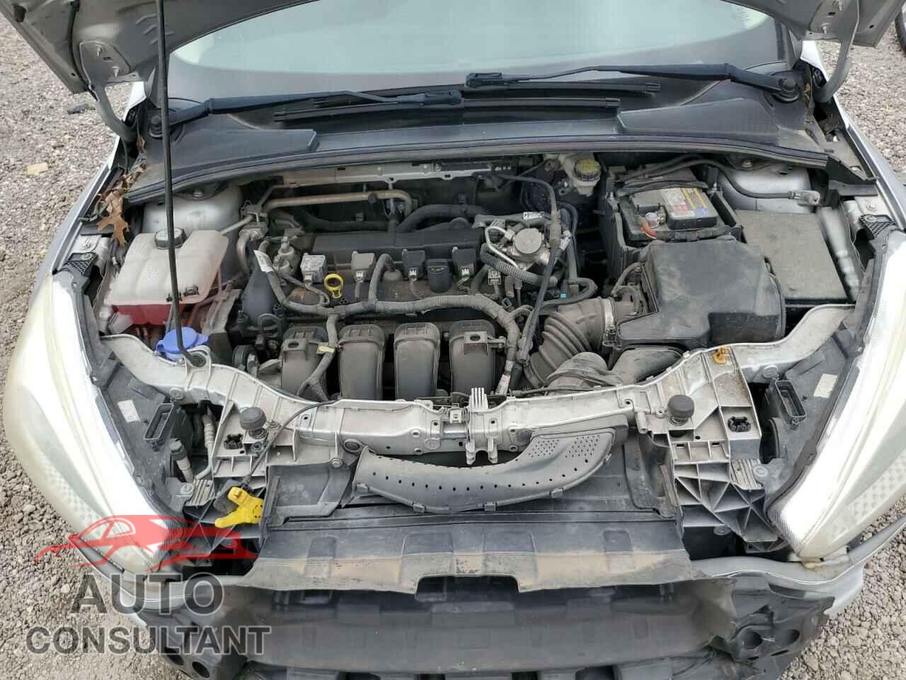 FORD FOCUS 2016 - 1FADP3K26GL329359